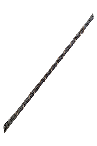 302-55W-12P