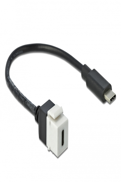 Delock Keystone-modul - USB-kabel - 86399