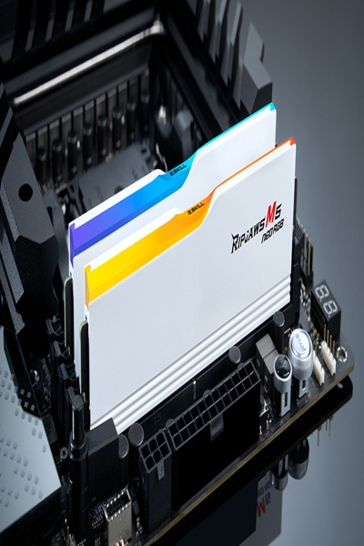 F5-6000J3636F32GX2-RM5NRW - F5-6000J3636F32GX2-RM5NRW