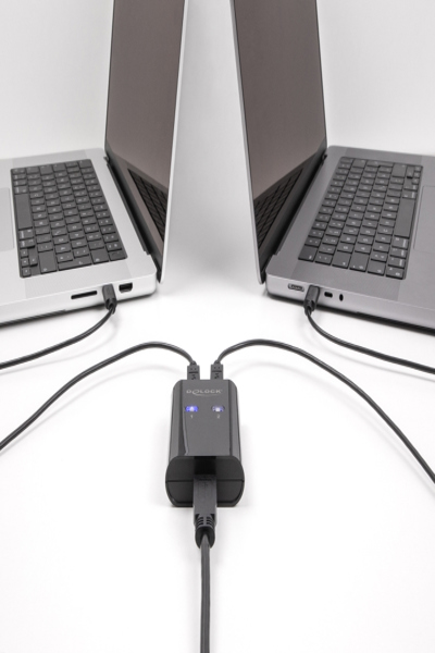 Delock USB-switch - 5 Gbps, 2 datorer till 1 enhet - 11508