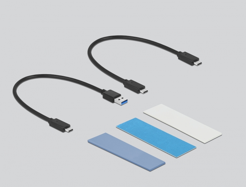 Delock external USB Type-C Combo enclosure - 42638