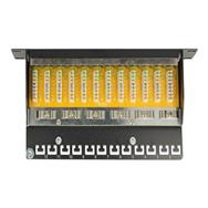 Panneau de brassage Delock - CAT 6 - RJ-45 X 12
