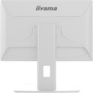 Iiyama 19 B1980S-W1 HDMI DisplayPort - Écran plat - 48,3 cm