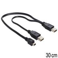 Câble USB Delock - USB (M) vers USB, mini-USB Type A (M)