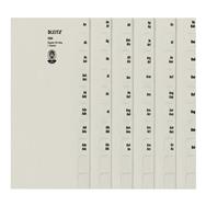 Esselte Leitz Tauenpapier-Register A-Z fÃƒÂ¼r 200 Ordner grau 80135485