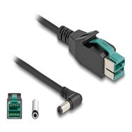 Câble Delock PoweredUSB - USB PlusPower (12 V) (M) vers prise CC 5,5 x 2,1 mm (M) coudée