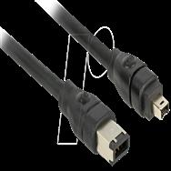 Câble Delock IEEE 1394 - FireWire 6 broches (M) vers FireWire 4 broches (M)
