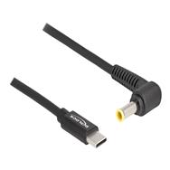 Câble d'alimentation Delock - USB-C 24 broches (M) vers prise CC 5,5 x 3,0 mm (M)