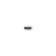 Adaptateur USB Apple - USB-C 24 broches (M) vers USB Type A (F)