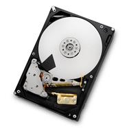 WD Ultrastar 7K3000 HUS723020ALS640