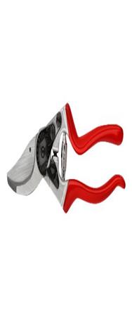 Sécateur FELCO 8 Classic