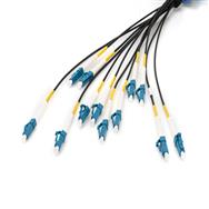 DIGITUS Pre-assembled Fiberglass Universal Breakout Cable, Single Mode OS2, 12 Fibers, LC/UPC - LC/UPC