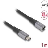 Câble d'extension USB Delock - USB-C 24 broches (M) vers USB-C 24 broches (F)