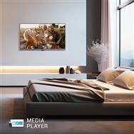 Panasonic TB-32S40AEZ HD LED Smart TV Powered by TiVo 32 Zoll[Energieklasse E] - LCD TV - 81.3 cm
