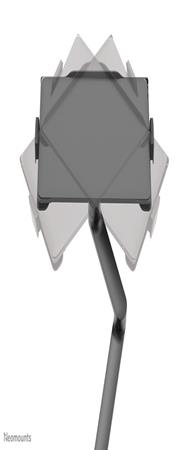 Neomounts Newstar support pour ordinateur portable 11,6-17,3" 5 kg