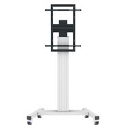 Chariot de présentation celexon Professional Plus Fixed-42100-LP Paysage/Portrait