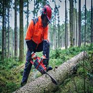 Einhell GP-LC 36/40 Li Brushless 15" Cordless Chainsaw