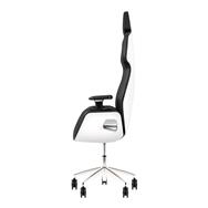 Fauteuil gaming Thermaltake GGC-ARG-BWLFDL-01