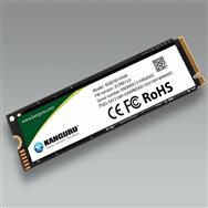 SSD iStorage M.2 NVMe Kanguru Opal SED30 FIPS 197, chiffrement matériel