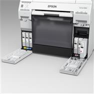 Epson T43U Noir SURELAB SL-D800 - 1 pièce(s)