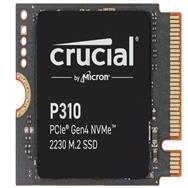 CT1000P310SSD2