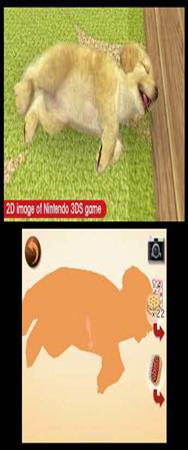Nintendo 3DS gs Golden Retriever+ chats