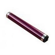 Kit tambour d'origine Toshiba OD-1600