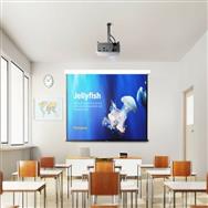 ViewSonic PA504W, 4 000 lumens ANSI, DLP, WXGA