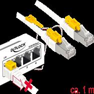 Delock Secure - Câble patch - RJ-45 (M) vers RJ-45 (M)