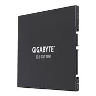 GP-GSTFS30256GTTD
