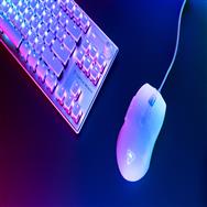 Souris gaming RVB Turtle Beach Pure SEL (blanche)
