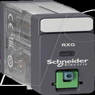 Schneider Electric RXG21BD - Noir - 24 V - -40 - 70 °C - IP40 UL 508 IEC 61810-1 CSA C22.2 No 14 EAC - 1250 VA - 5 A