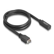 Câble USB Delock - USB 20 broches Type E (M) Clé A vers USB-C 24 broches (F)