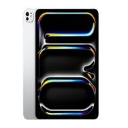 iPad Pro 13 pouces Wi-Fi + Cellulaire