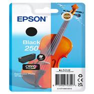 Epson Singlepack Black 250 ink - Original - Ink Cartridge
