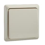 Schneider 501600 Thermoplastique Blanc 10 A 80 x 80 mm