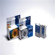 Epson Sunflower Twinpack Black T017 - Encre pigmentée - 1 pièce(s) - Multipack