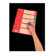 Esselte Leitz Karton-Register blanko A4 5-teilig mehrfarbig 160 g-qm mit rotem