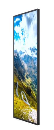 Moniteur Wi-Fi Hisense 65WF25E 65"