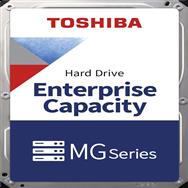 Série Toshiba MG10 MG10ACA20TE
