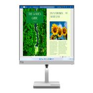 Moniteur LED Lenovo L24m-40 24 pouces