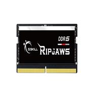 F5-4800S3838A16GX1-RS