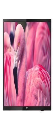 Philips 43HFL4014/12 Téléviseur LED FHD 43"