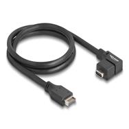 Câble USB Delock - USB 20 broches Type E (M) Clé A vers USB-C 24 broches (F) coudé
