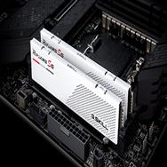 G.Skill Ripjaws S5 F5-6000J3036F48GX2-RS5W 96 Go DDR5 PC