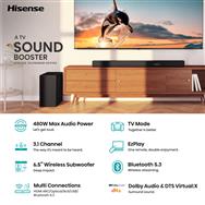 HS3100
