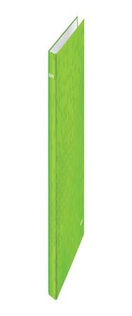 Esselte Leitz Ringbuch Wow DIN A4+ Hartpappe grÃ¼n 2 D-Ring-MechanikÃœberbreite - A4