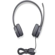 Lenovo GXD1D09516 Select stereo USB headset - Audio/Multimedia - Digital
