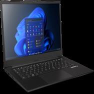 EXTRA Computer go Business 1460 X13 i5-1335U 16GB 500GB SSD W11Pro