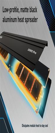 Crucial Pro - DDR5 - Module - 48 Go